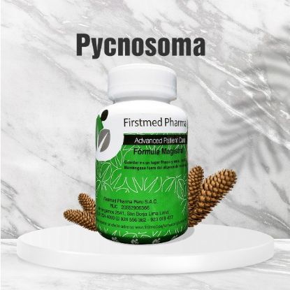 Imagen de Pycnosoma 500mg